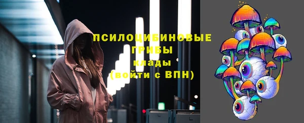 крисы Нязепетровск