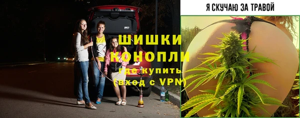 крисы Нязепетровск
