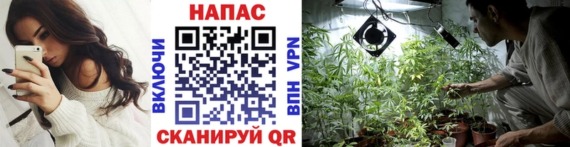 MEGA tor  Тимашёвск  Бошки Шишки сатива  магазин продажи  
